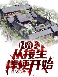 四合院：从接生棒梗开始