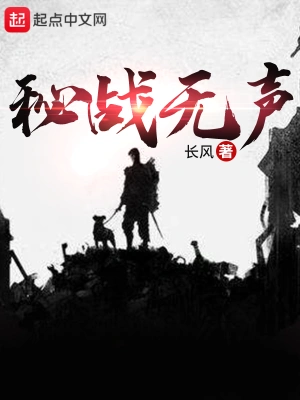 秘战无声小说长风