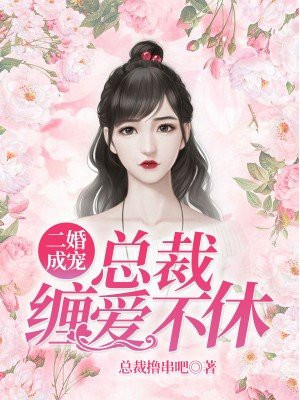 二婚成宠：总裁缠爱不休