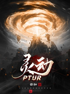 灵动PTUR