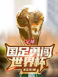 足球：国足勇闯世界杯