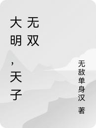 大明，天子无双酒胆英雄