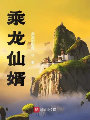 乘龙仙婿流浪的蛤蟆